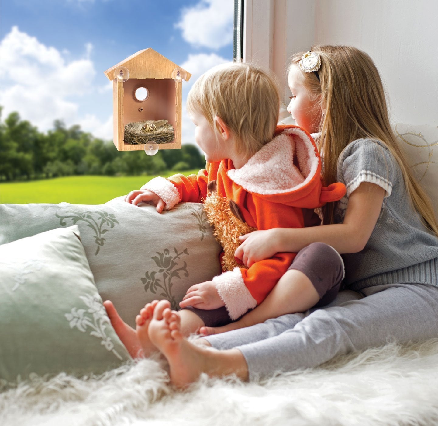 New Outdoor Bird Nest Bird Feeder With Suction Cup Bird Nest Bird Nest Diy Bird Nest Bird House Bird Feeder