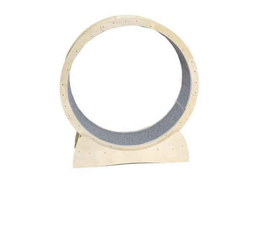 Cat Fitness Fun Roller