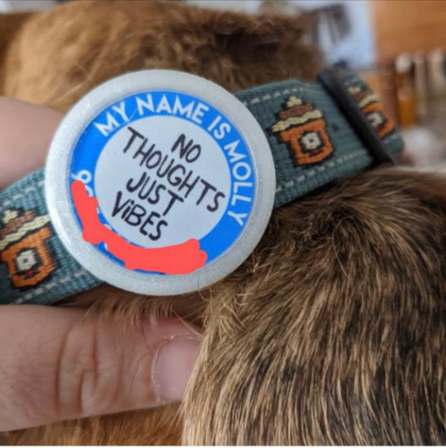 Custom Text Funny Twist-On Tag- Silent, Ringless tag